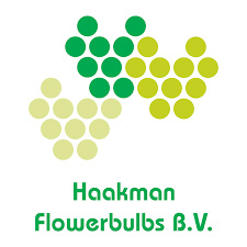 Haakman Flowerbulbs